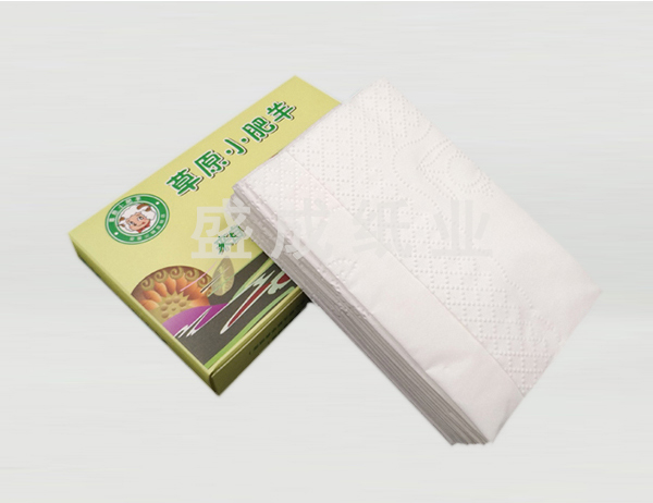 钦州专业盒装纸巾厂家